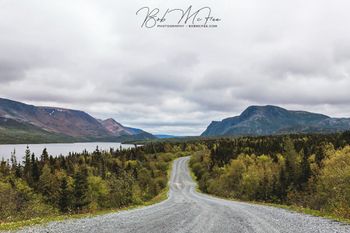 Trout River Pond Surprise
