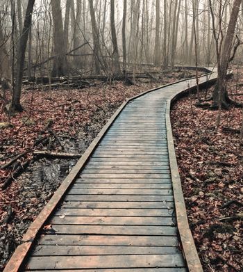 Path to Enlightenment?
