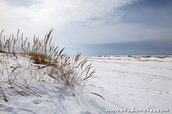 The Pinery in Winter
