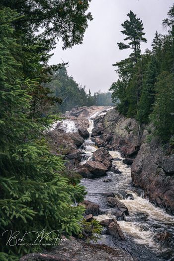 Upstream on Sand River
