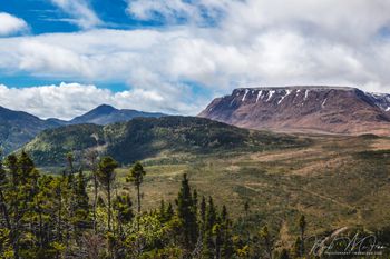 Above Woody Point
