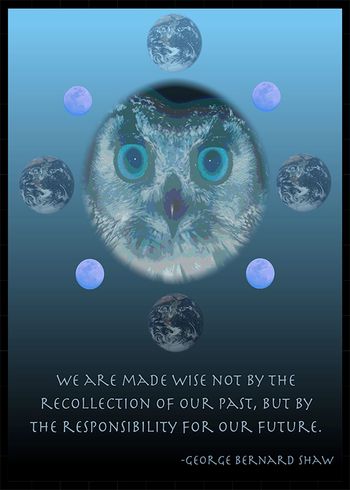 25 - Owl Wisdom
