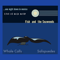 Whale Calls Salsipuedes 2002 by Fish and the Seaweeds