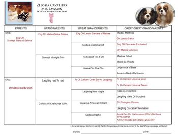 Francine's Pedigree
