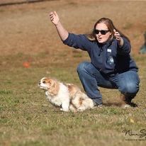 Releasing Opal for a FAST CAT trial (age 8)
