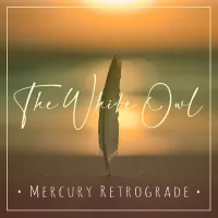 Mercury Retrograde by The White Owl | DJ | Music Producer | Lounge House Disco Techno