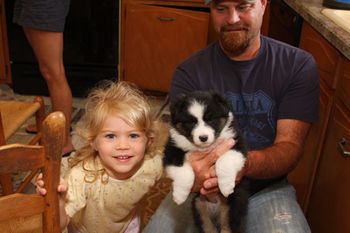 "We will grow up together." This girl is their second Aussie.
