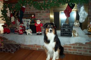 Mac wishes everyone a Merry Christmas.