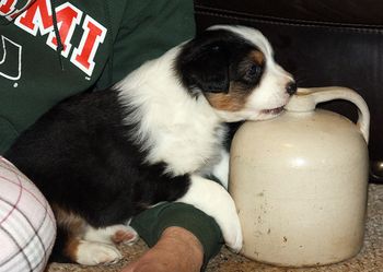 Come on Mom, give me some help with the cork.
