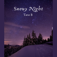 Snowy Night by Tara b