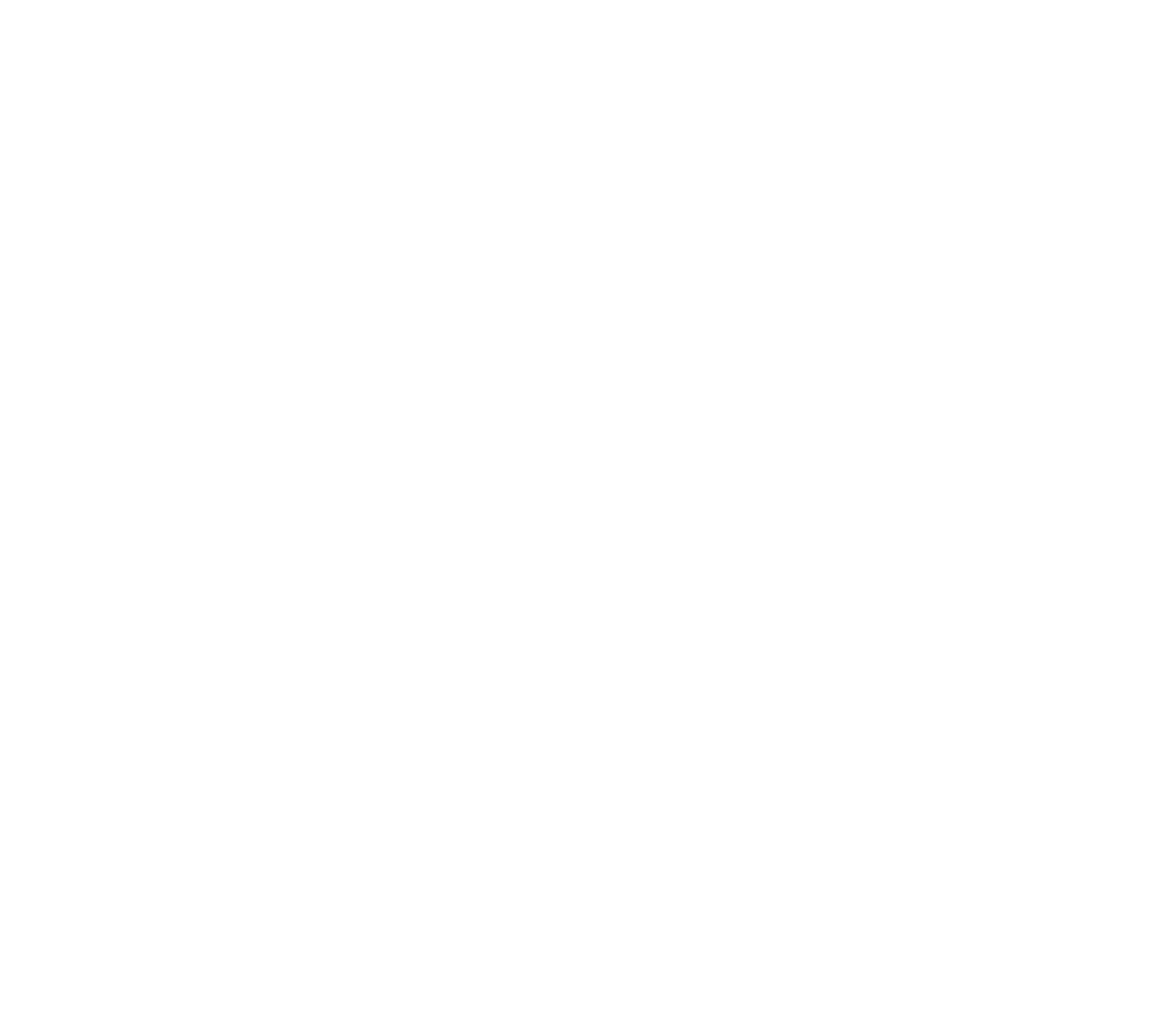 Jake Simon
