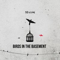 Birds In The Basement  by 99 Rising