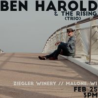 Ben Harold & The Rising (trio)