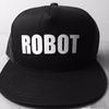 Robot Hat