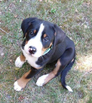 Solveig 9 Weeks
