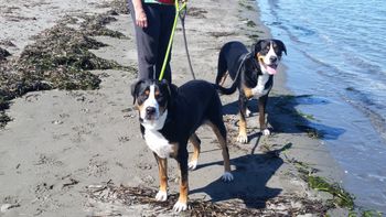 Cayenne & Draven Beach
