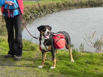 Draven hiking
