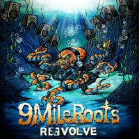 ReEvolve by 9 Mile Roots