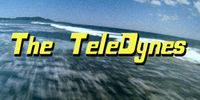 The TeleDynes - Pour Judgement