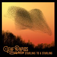 Starling to a Starling by Leaf Rapids