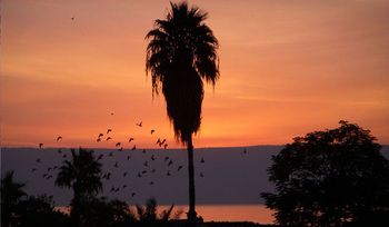 Sunrise on the Sea of Galilee
