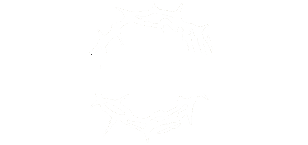 BRETT BARRY