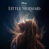 Part of Your World 向往的世界 - Halle Bailey / 阎奕格｜《The Little Mermaid 小美人鱼》Movie OST 电影主题曲 (Original key+Transposed key 原调+降调简易版) chord chart