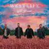 My Hero - Westlife｜2021 Pop Songs (Original key+Transposed key) chord chart