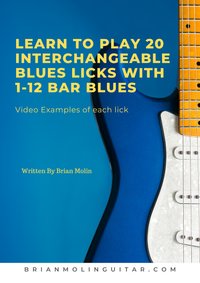 Learn To Play 20 Interchangeable Blues Licks With 1-12 Bar Blues