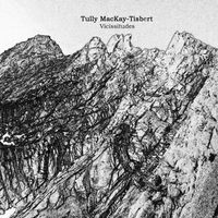 Vicissitudes by Tully MacKay-Tisbert