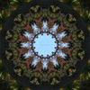 Mandala Art #6 - The Special Garden