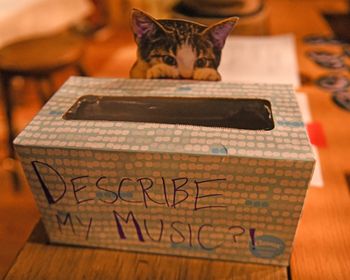 In an attempt to figure out how the heck to define my genre/music, we created the "Describe My Music" box. Enterprise, OR, Nov 2023. Photo courtesy of Roger Averbeck.
