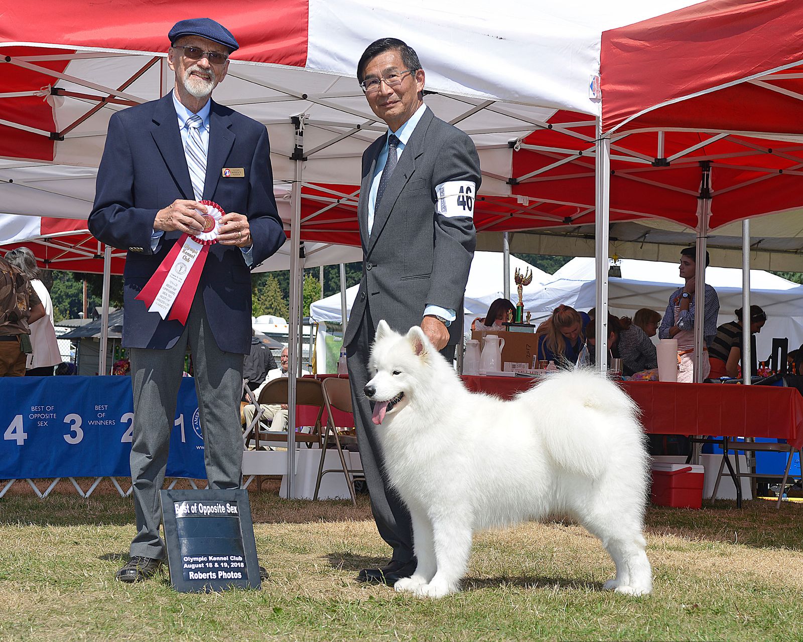 Pacific Mist Samoyeds Photos