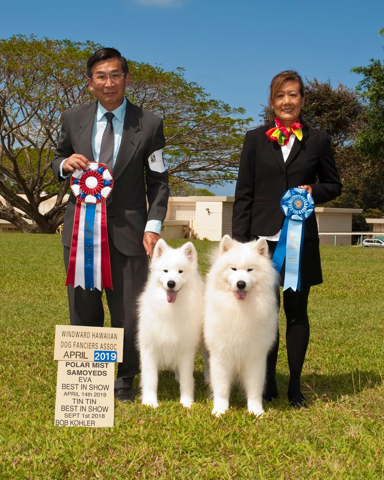 Polar mist best sale samoyed price