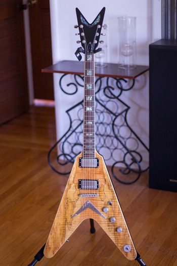 Dean Exotic Series Spalted V
