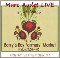 Marc Audet Singer/Songwriter at Barry's Bay Farmer's Market 
