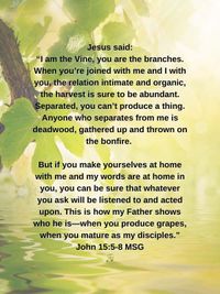 John 15 - Vine life!