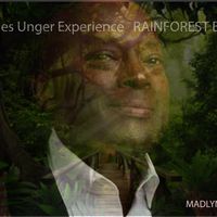 Rainforest Blues by The Charles Unger Experience