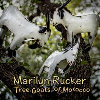 Tree Goats of Morocco by Marilyn Rucker