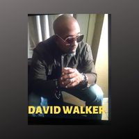 INSPIRATIONAL ALBUMS  by DAVID WALKER