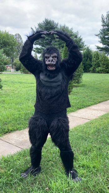 Bennie the Dancing Gorilla
