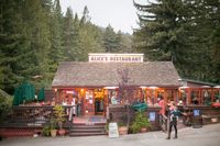 ALICE'S RESTAURANT