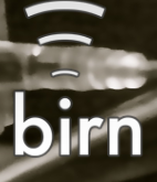 The BIRN Alive with Brian Raj