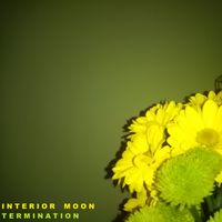 Termination by Interior Moon