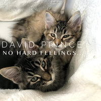 No Hard Feelings... by David Prince