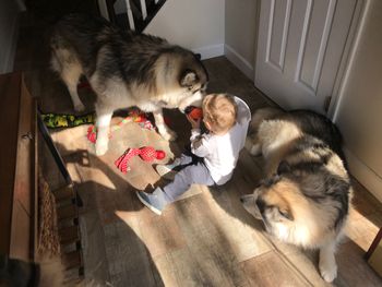 Michael with Klondike & Lucky
