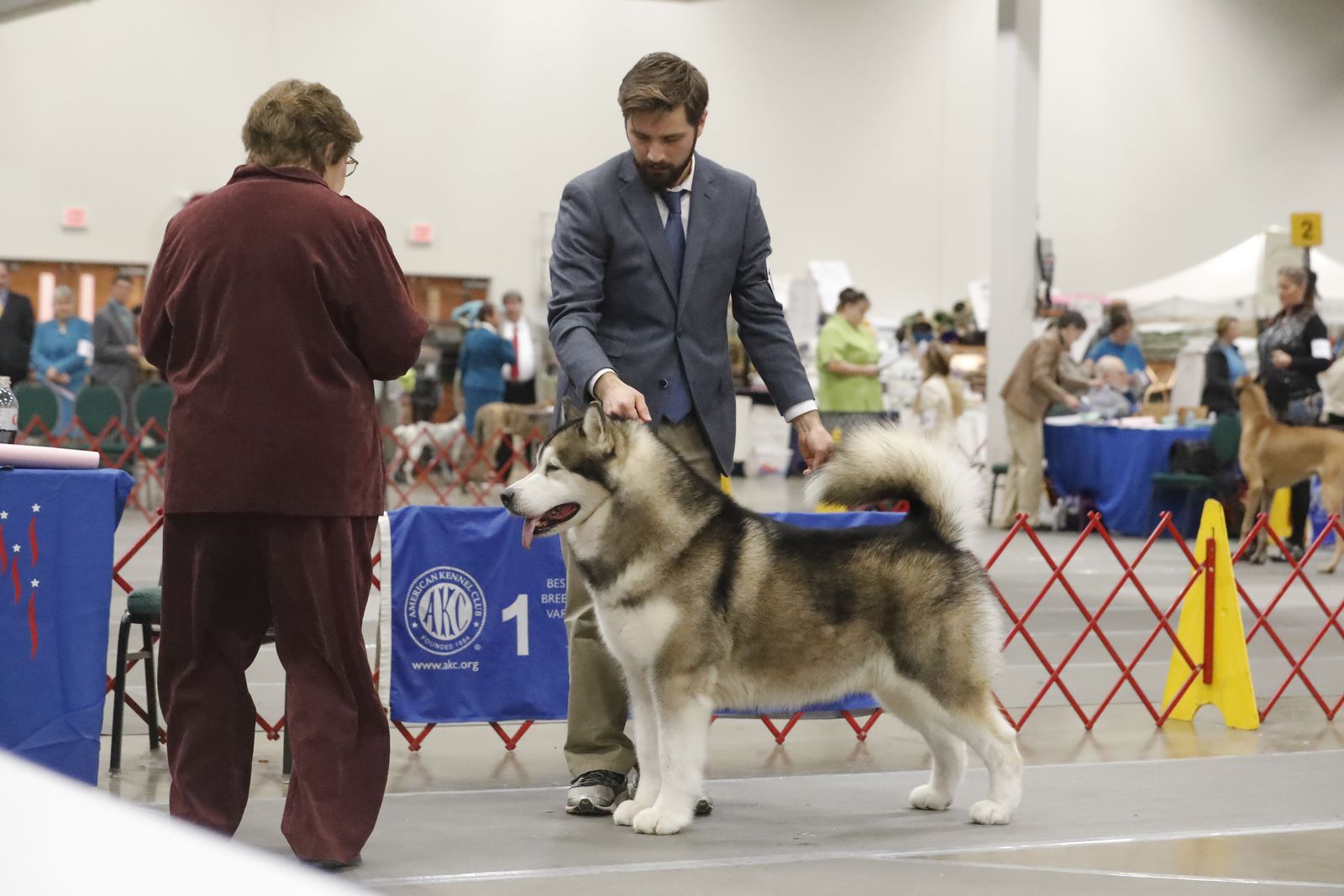 malamute ニットビスチェ　ODAKHA malamute ニットビスチェ ODAKHA WHITE FOX BOUTIQUE SOX WFA