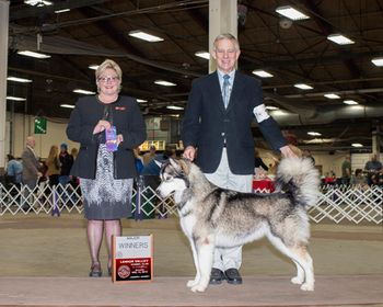 Winners, Lehigh Kennel Club,
