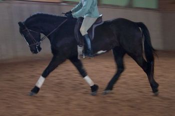 Nitika under saddle, Feb 09
