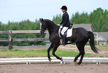 Training level test, canter
